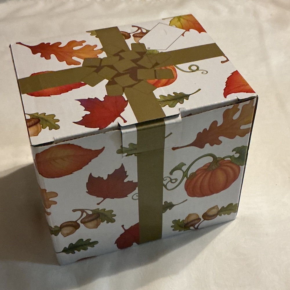 NEW Autumn Harvest Decorative Gift Box - White & Orange